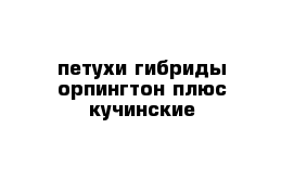 петухи гибриды орпингтон плюс кучинские 